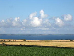 Skomer View Solva